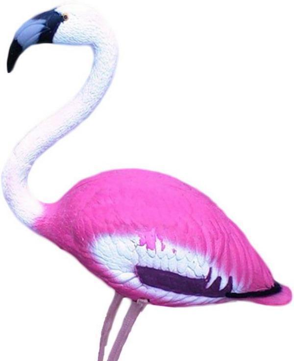 фламинго
